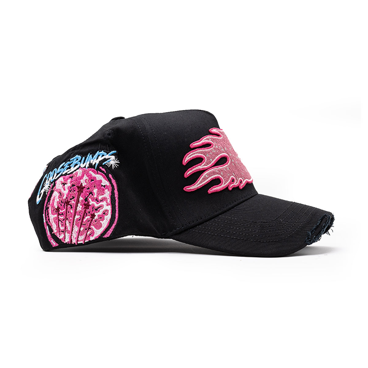 BRAINZ SNAPBACK